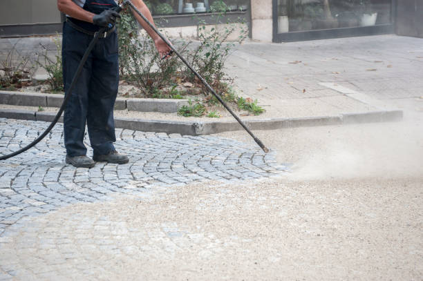 Best Driveway Cleaning and Restoration in Eustis, FL